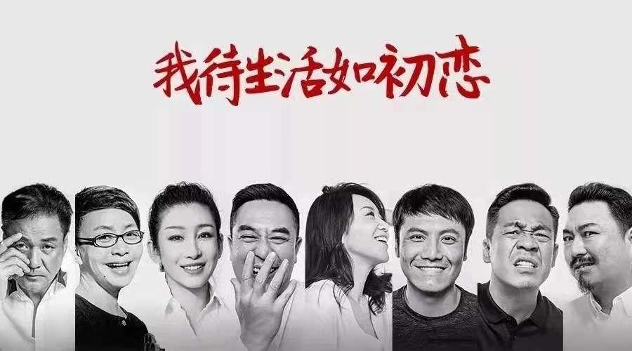 电视剧密查剧情深度解析，探秘背后的故事