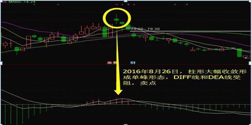 深度解析，300509股票行情全面解读