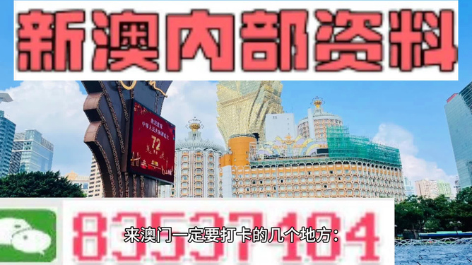 2024澳门濠江免费资料,专业地调查详解_Allergo版(意为轻快)91.467