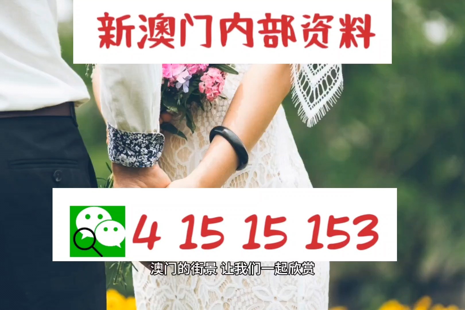 4949澳门精准免费大全2025,数据获取方案_进口版48.873