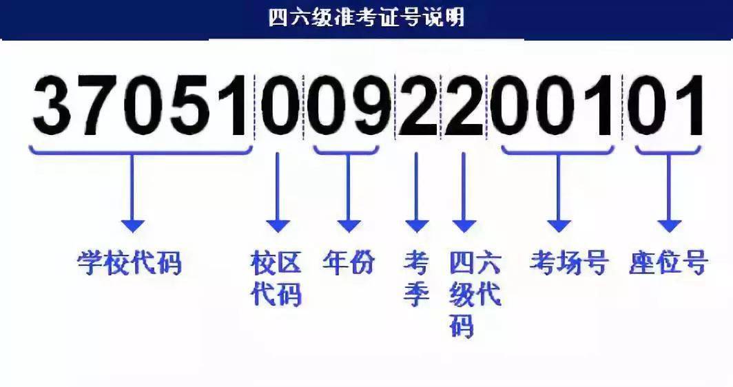 澳门最精准真正最精准,快速解答方案设计_复古版28.872