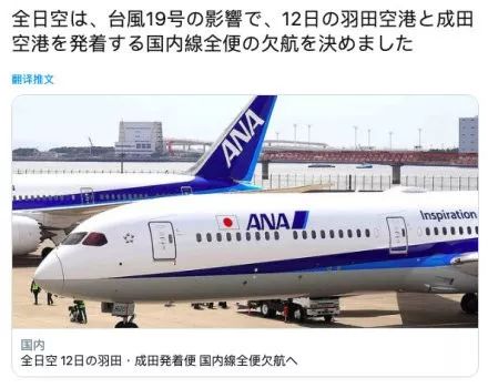 最新停运航班解析及影响