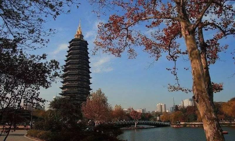 领略文字魅力的最新优美文笔分享