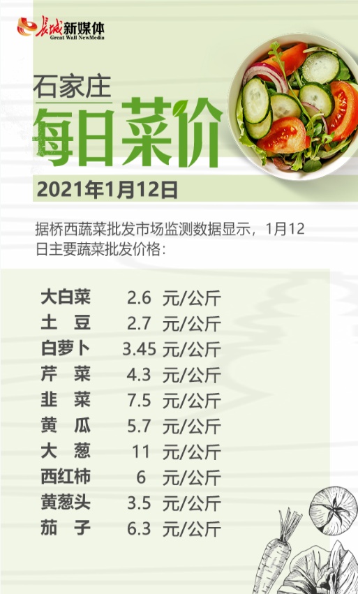 白菜今日最新价格及市场走势与影响因素深度解析