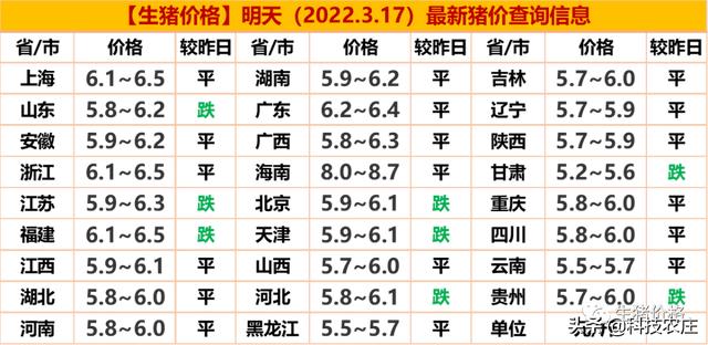 最新猪价变化，机遇与自我超越的探寻之旅