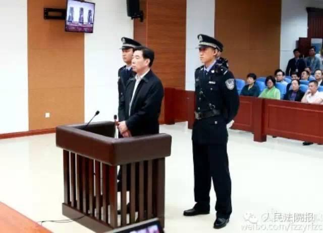 福州郑志泉最新动态，自然美景探索之旅，寻觅内心平和的旅程