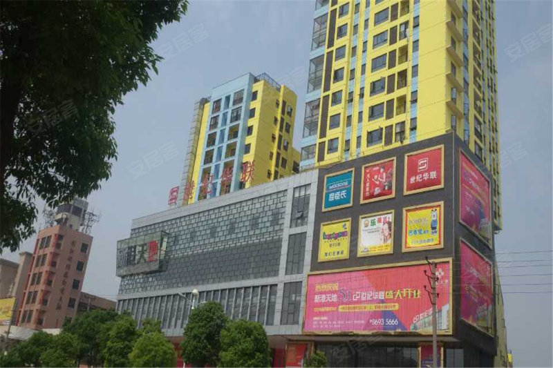 阳逻金色港湾最新动态，启航新征程，学习成就梦想港湾